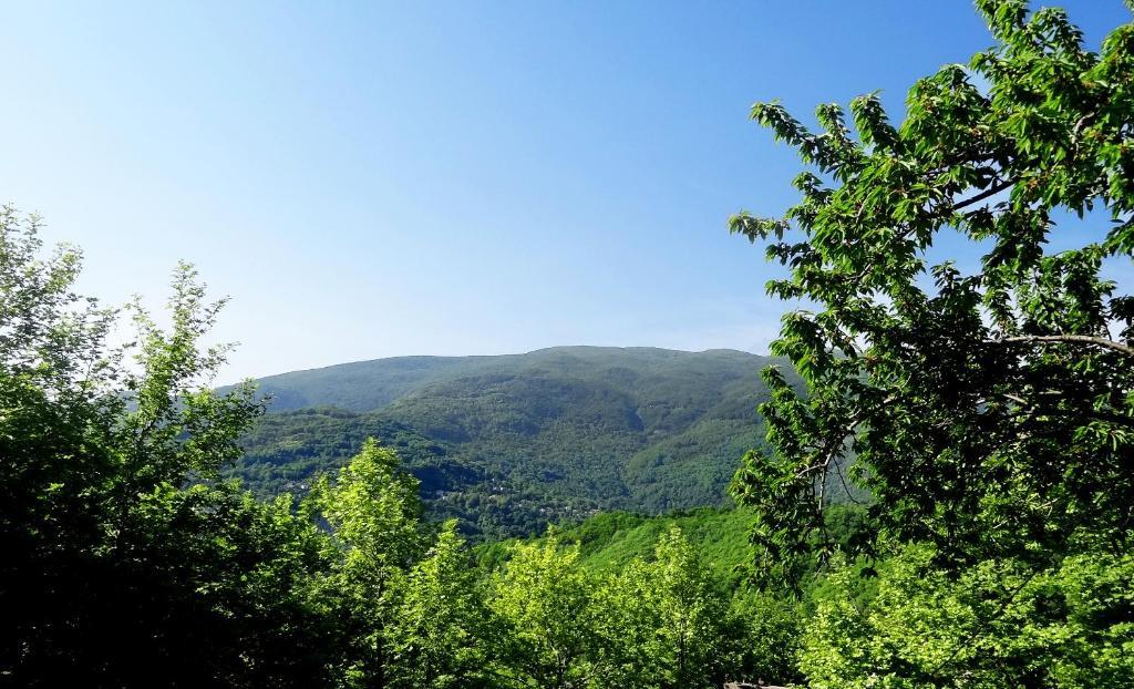 Hotel Vrionis Áyios Dhimítrios Dış mekan fotoğraf